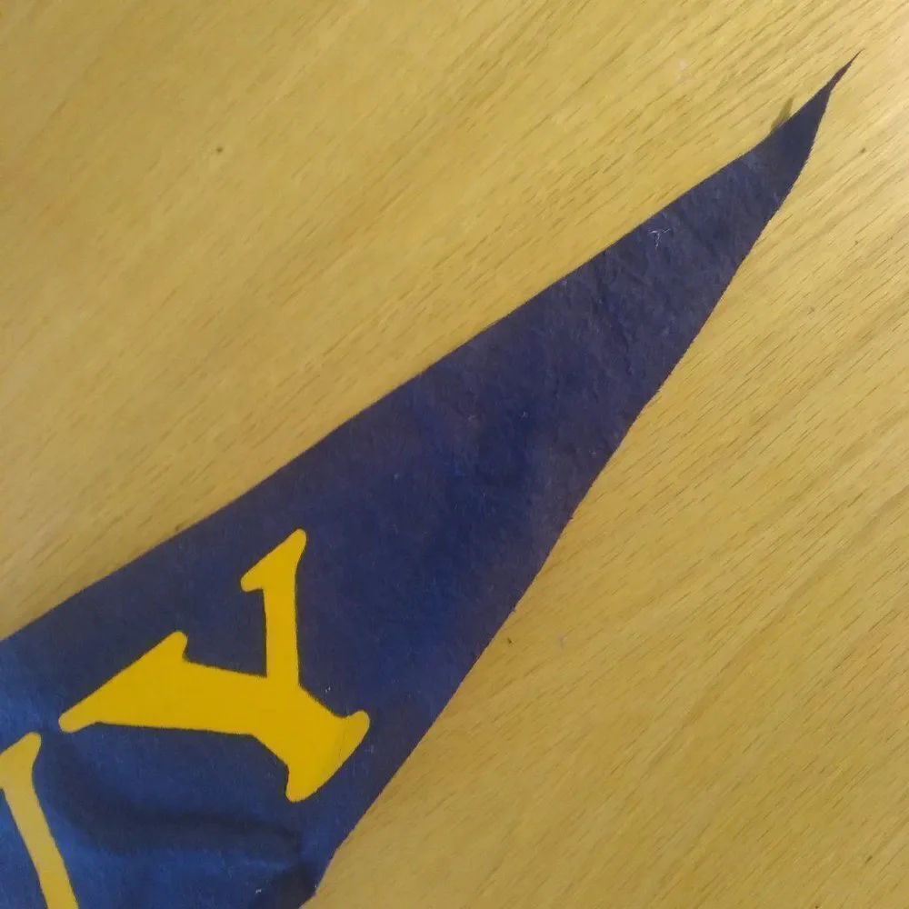 Vintage 60s Navy Goats Pennant Flag